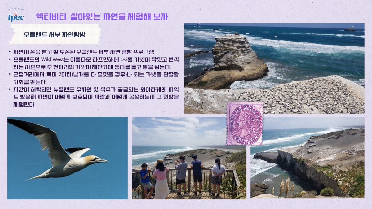 4c77a-653a2d9c5506b-dc81b3b25bee35b25b68eb0dad6d794d3122daa0.jpg