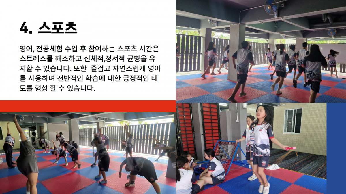 e2b43-6822aed9af05c-3cd21ba2cd18fd09fb91fce7fc0196ff425d88e0.jpg