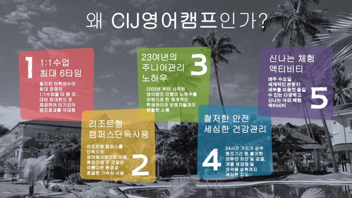a7964-6a741e39b6234-e23995d70695756f65f0def4cfb82e0cc214f4ea.jpg